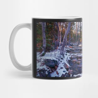 Hemlock Ravine Park 02 Mug